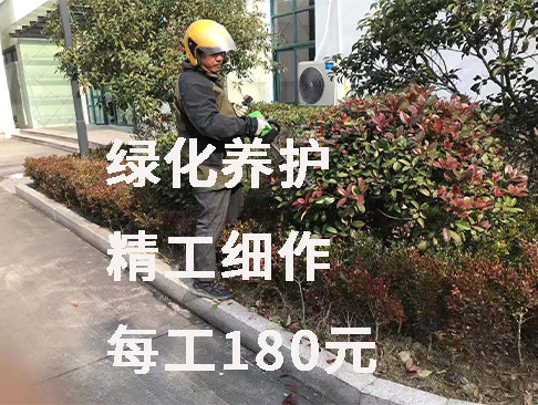 綠化養(yǎng)護(hù)